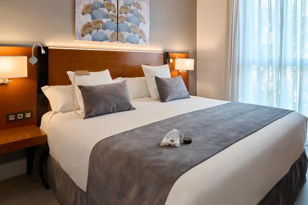 JUNIOR SUITE CAPACITY 1 Room, Puerta de Toledo, Madrid