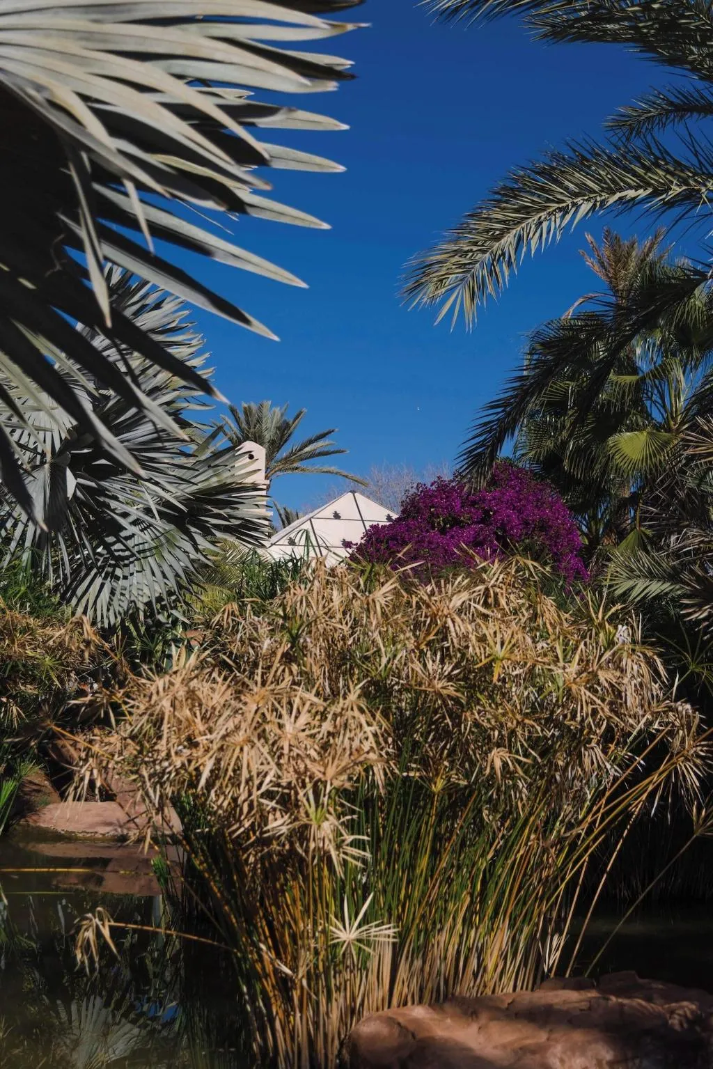 Room, Eden Lodges, Marrakech