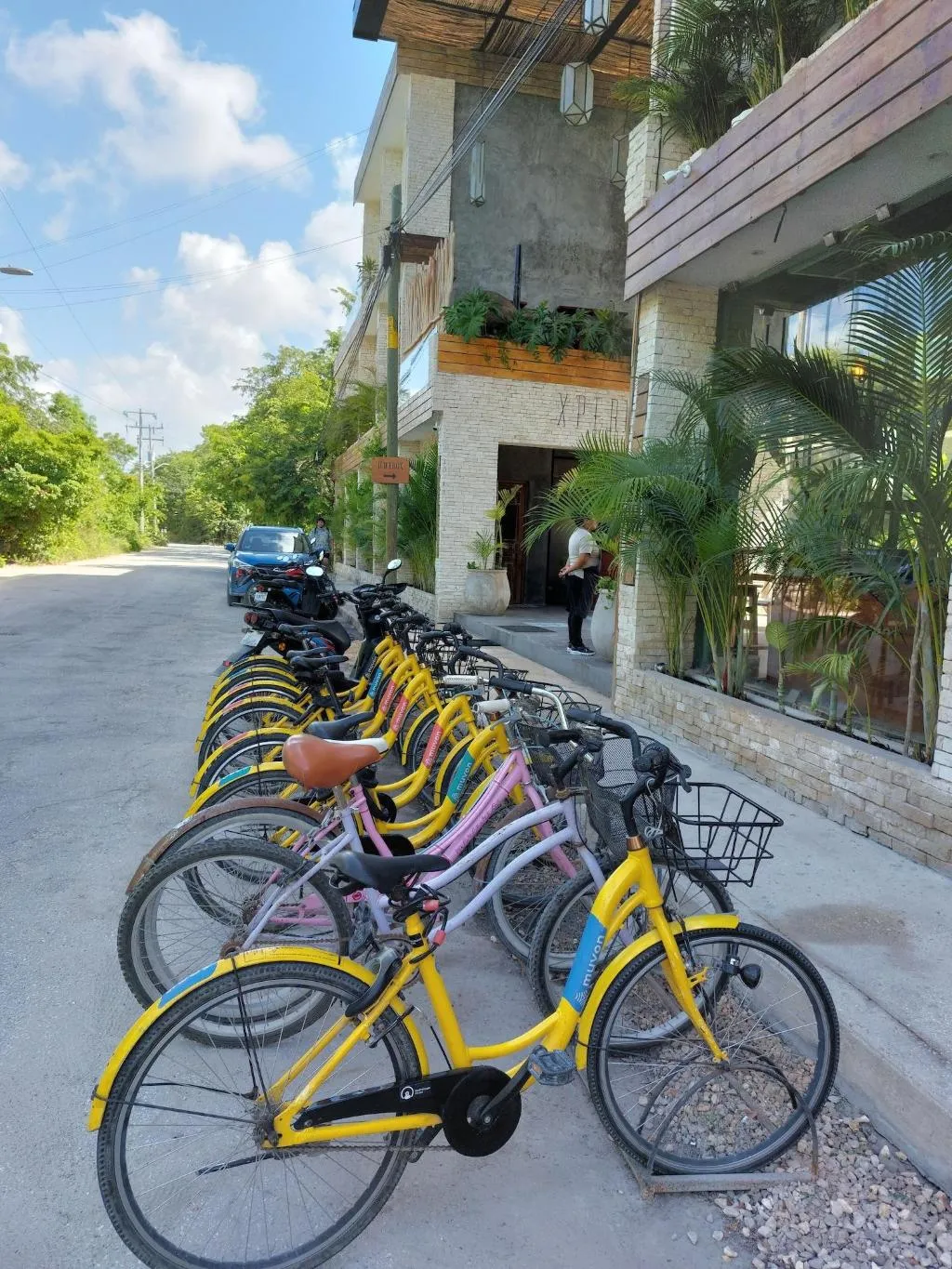 Sports and Entertainment, Xperience Tulum Hotel, Cancun Area