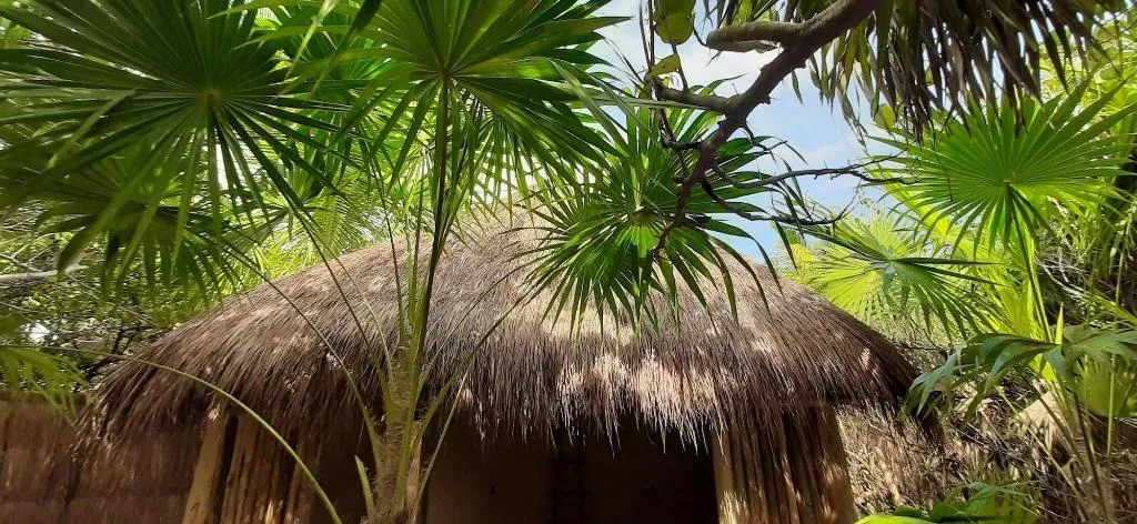 Room, Ikal Hotel Tulum, Cancun Area
