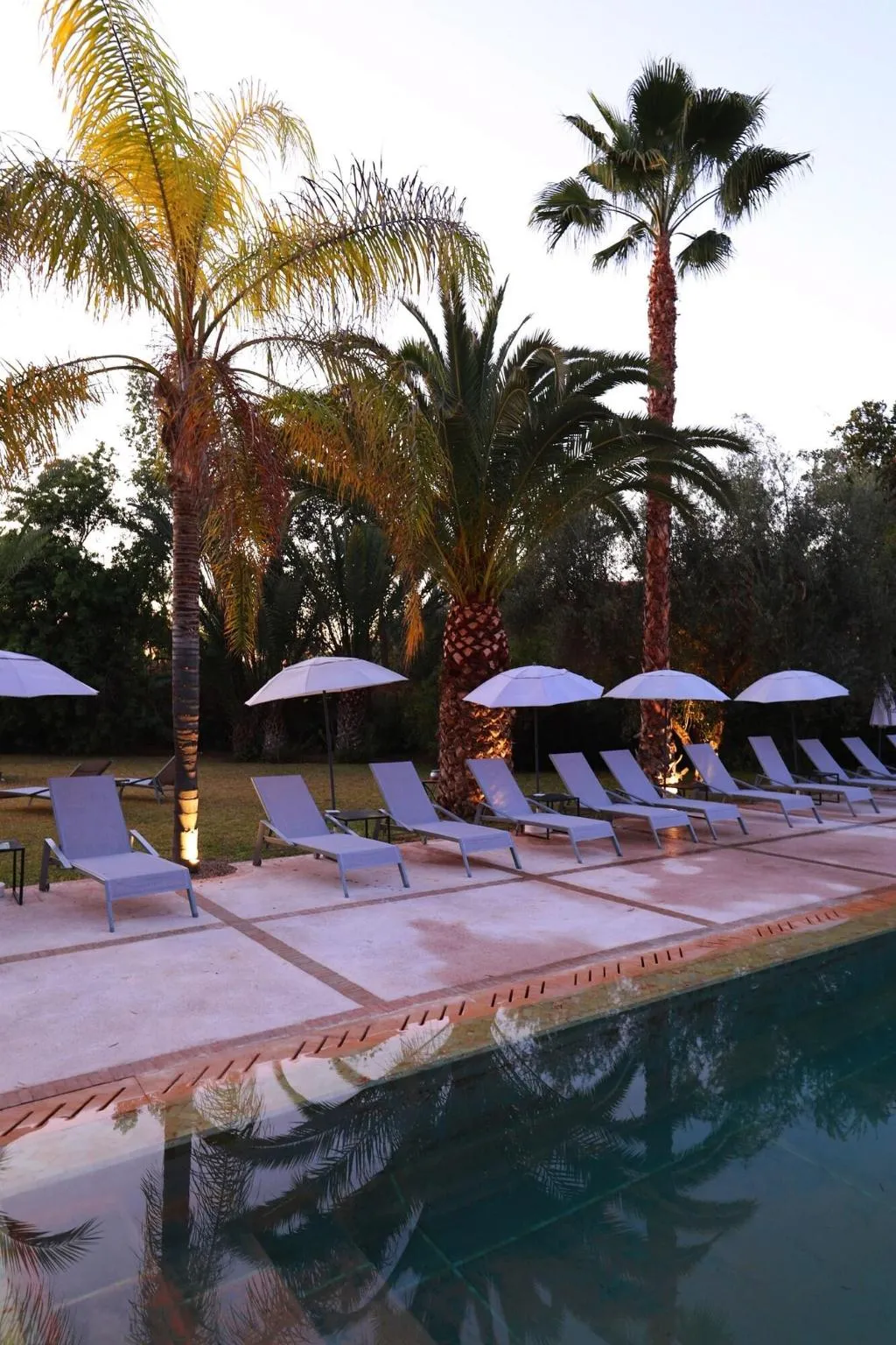 Pool, Villa al Assala Palmeraie, Marrakech