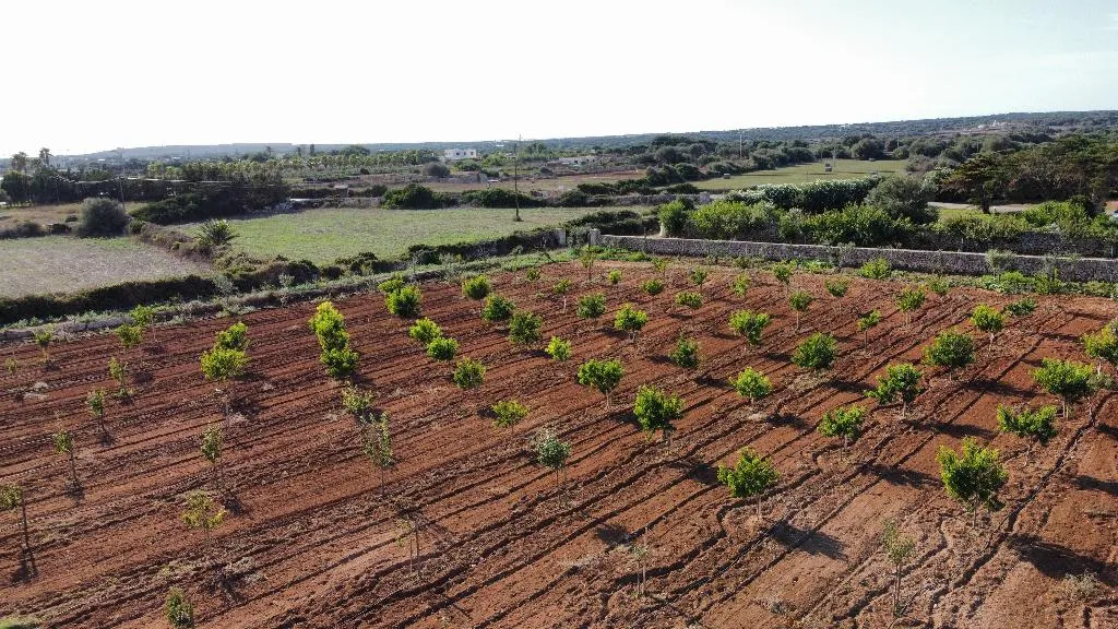 General view, Agroturismo Son Juaneda, Menorca