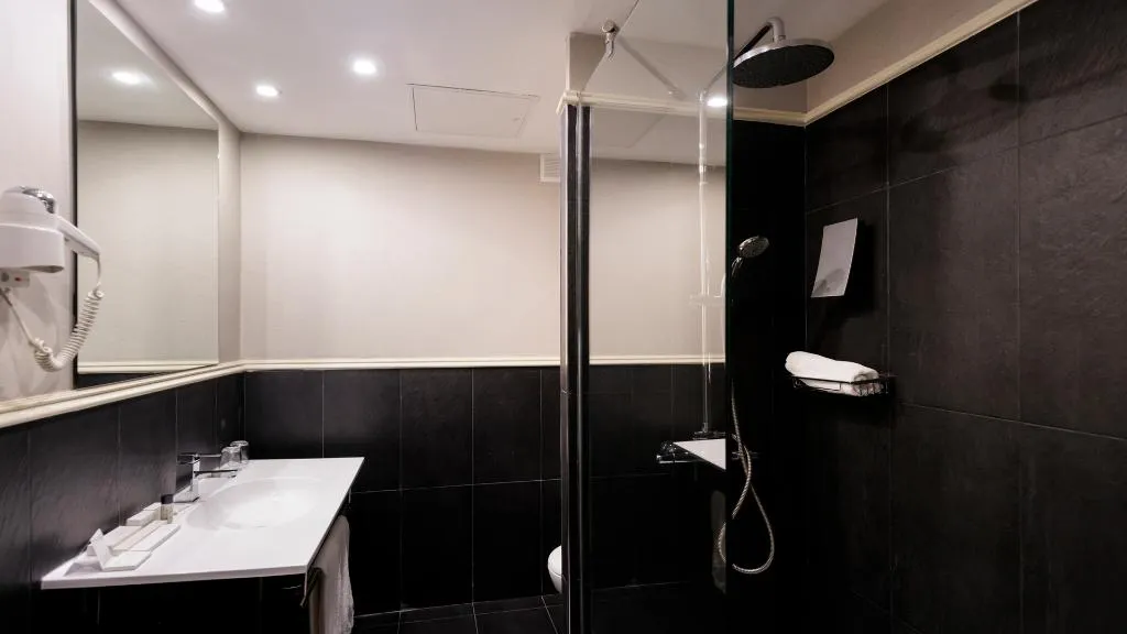 DOUBLE SINGLE USE STANDARD Room, Pax Guadalajara, Madrid