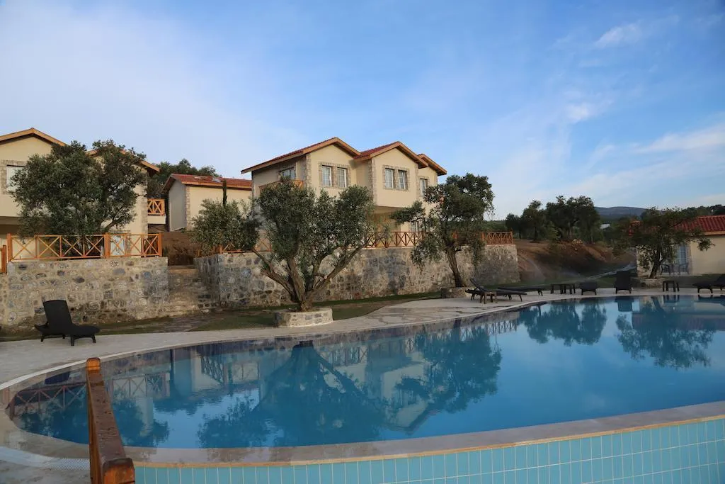 General view, Yedi Bilgeler Vineyards, Izmir