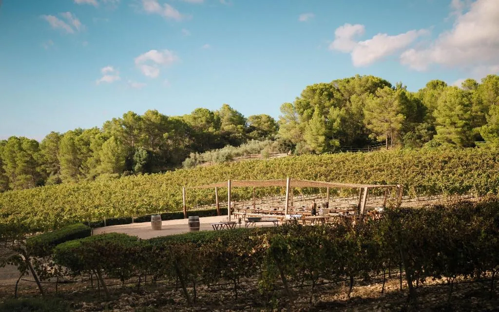 General view, Finca Serena, Majorca