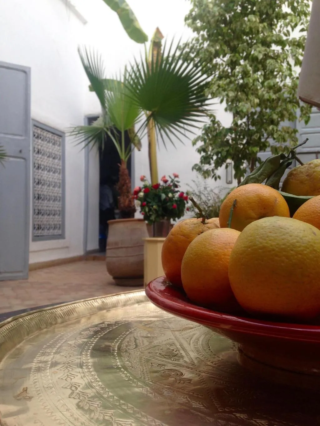General view, Riad Tizwa, Marrakech