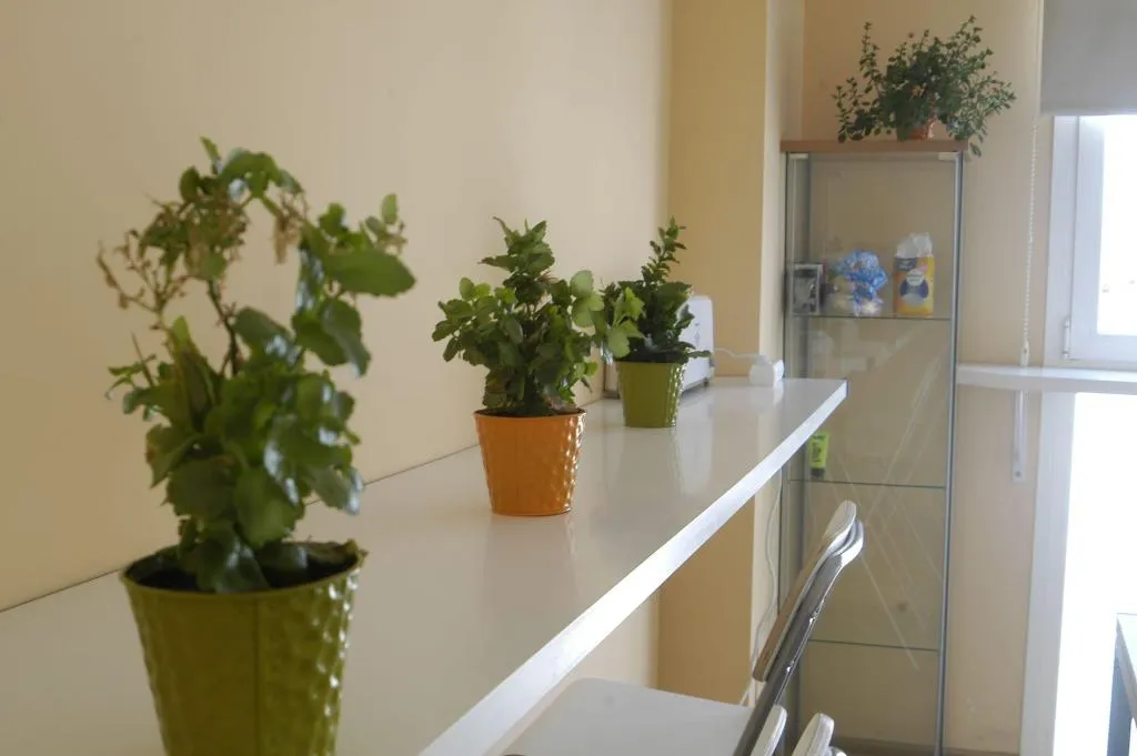Lobby, Hostel & Gym Relise, Menorca
