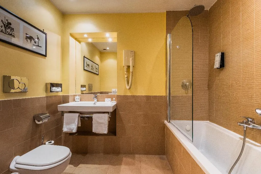 DOUBLE SINGLE USE CLASSIC Room, Grand Hotel Palatino, Rome
