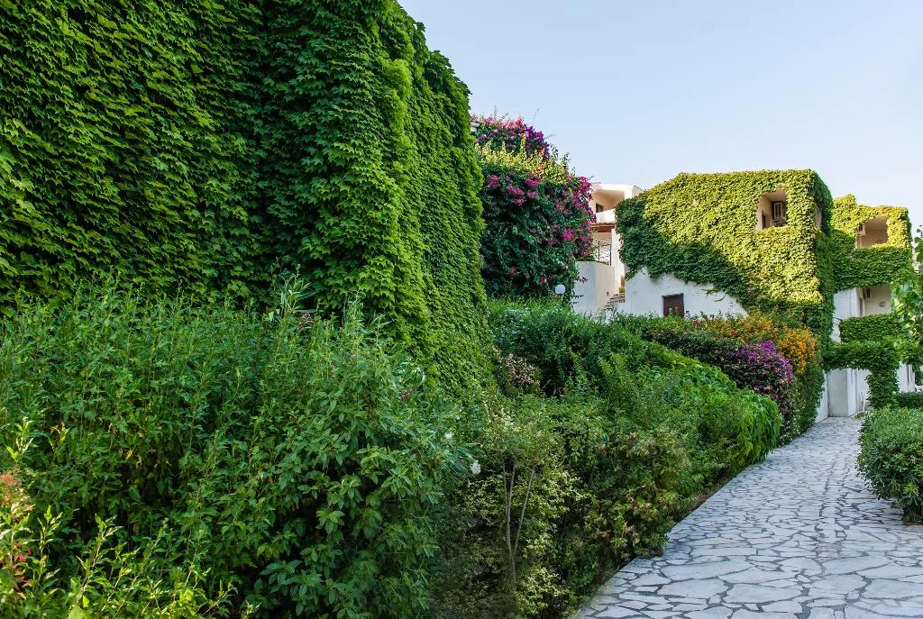 General view, Sunshine Corfu Hotel & Spa, Corfu