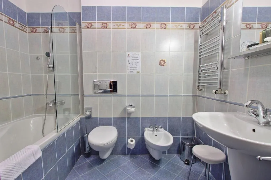 Room, U Pava, Prague