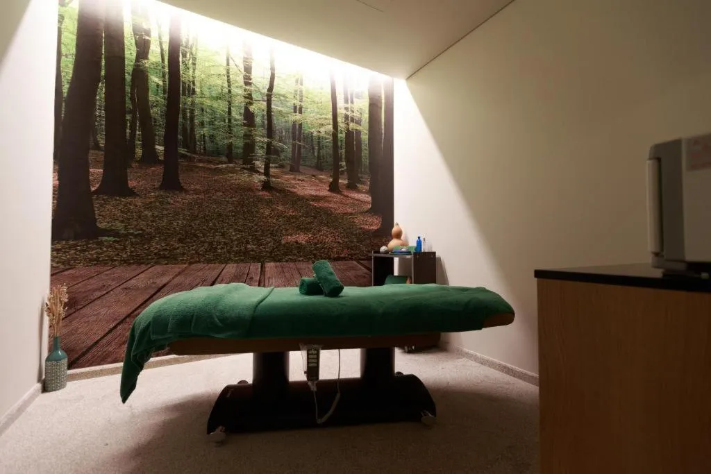 Sports and Entertainment, Olive Nature Hotel & SPA - Quinta Valle de Passos, Porto