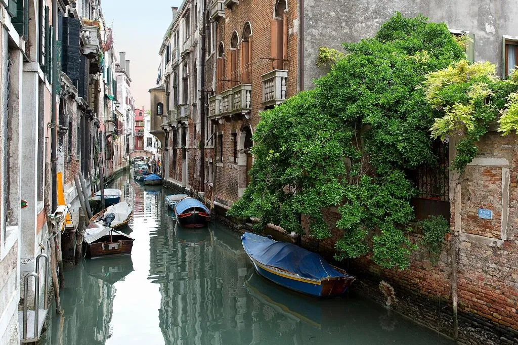 General view, Studio Ca' Polo, Venice