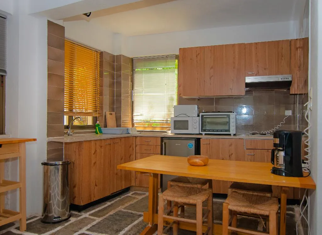 SUITE STANDARD Room, Apollonia Hotel Apartments, Athens