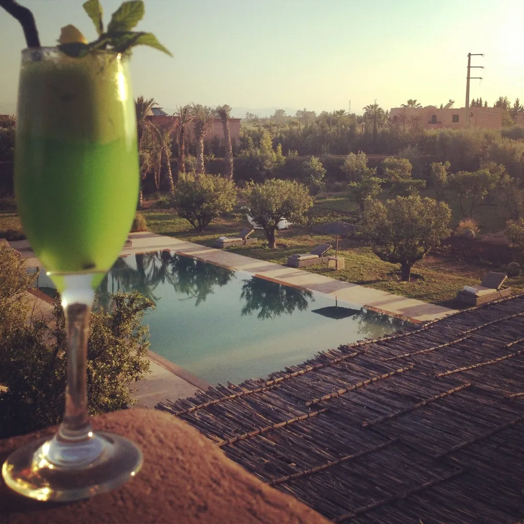 General view, Fellah Hotel, Marrakech