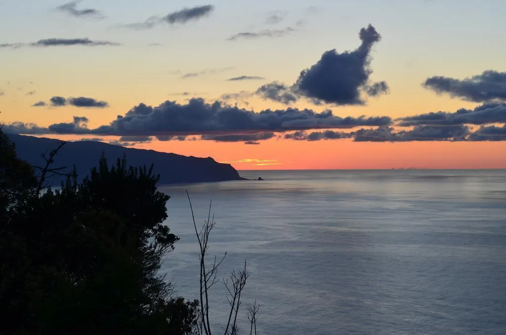 General view, Casa Das Proteas, Madeira