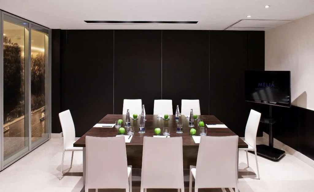 Conferences, Melia Madrid Princesa, Madrid