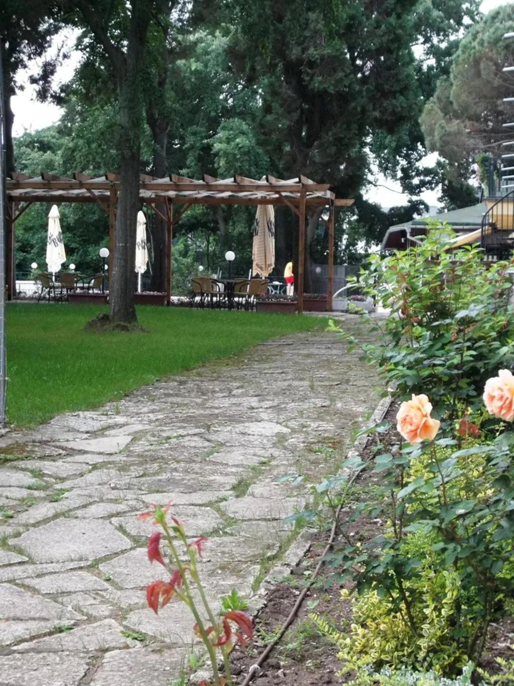 Terrace, Tintyava, Varna