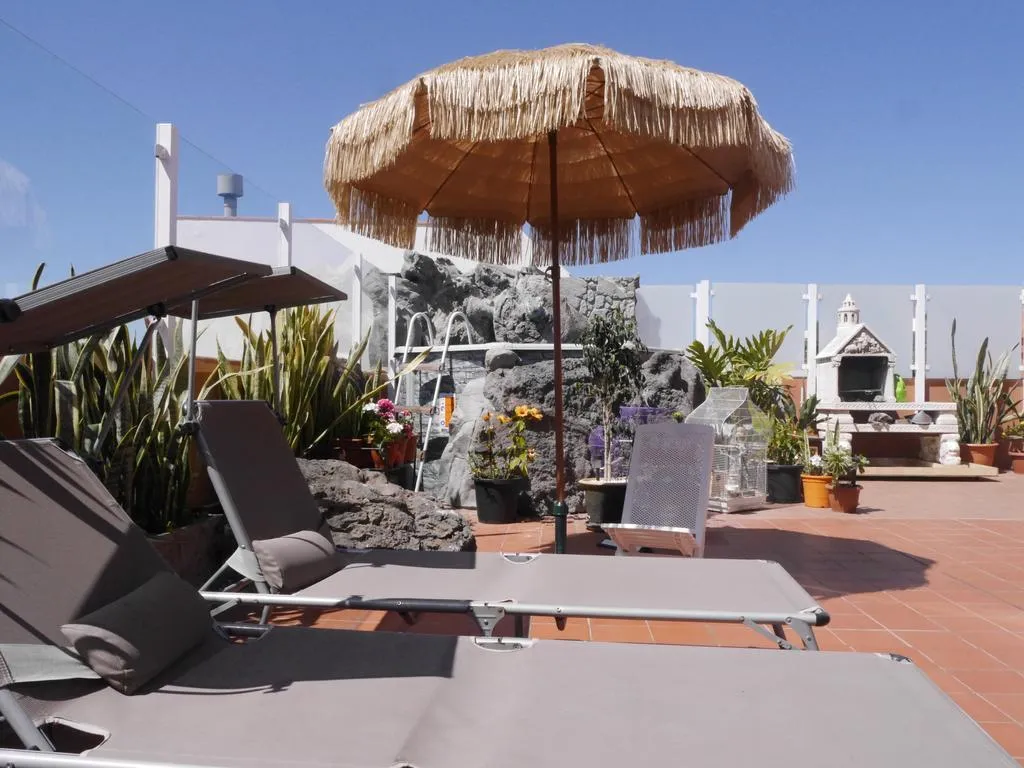 Terrace, Drago Nest Hostel, Tenerife
