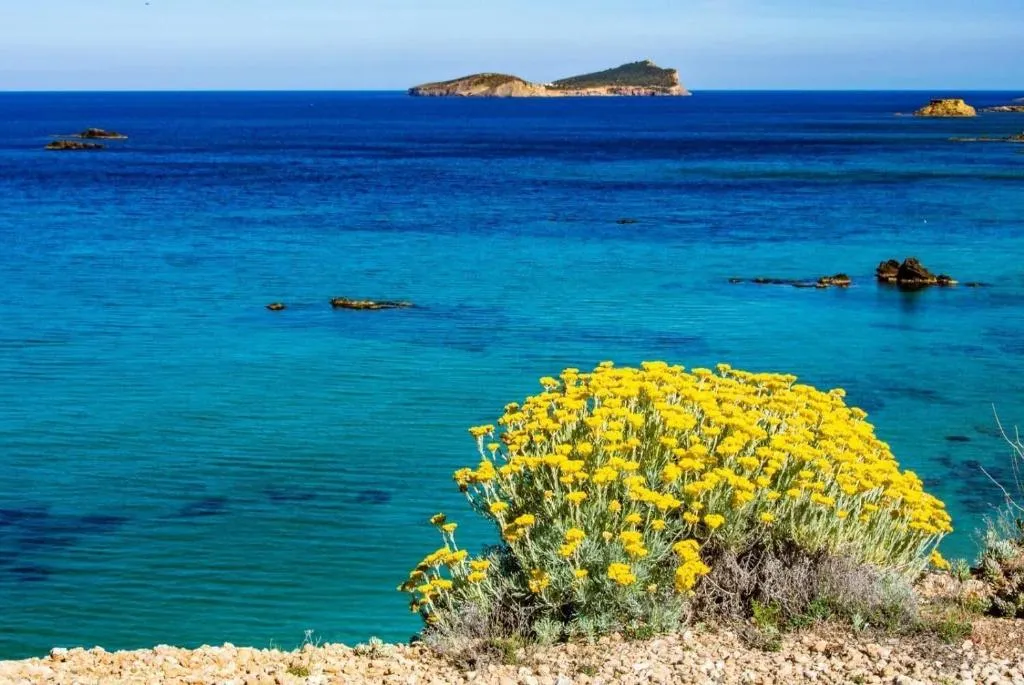 Beach, Hostal Santa Eulalia, Ibiza
