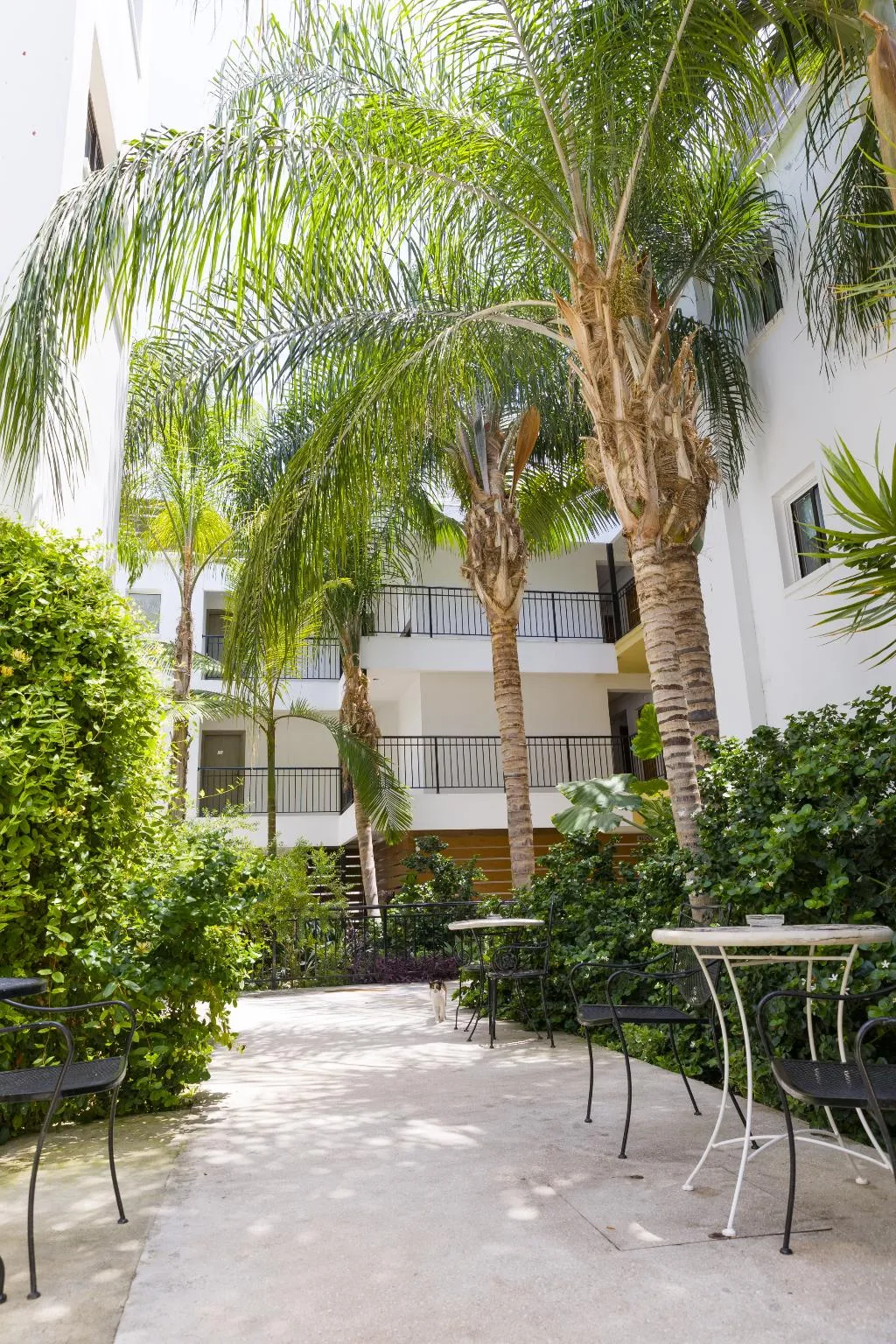 General view, Alecos Hotel Apts, Cyprus