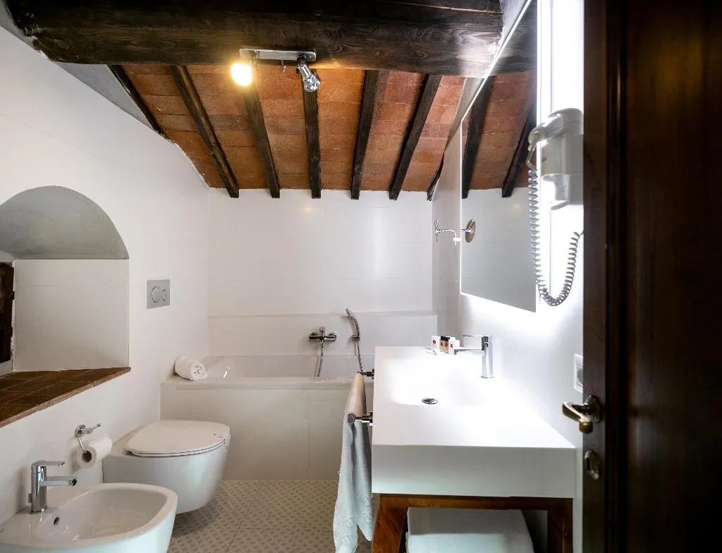 DOUBLE SINGLE USE STANDARD Room, Palazzo Leopoldo Dimora Storica & Spa, Florence