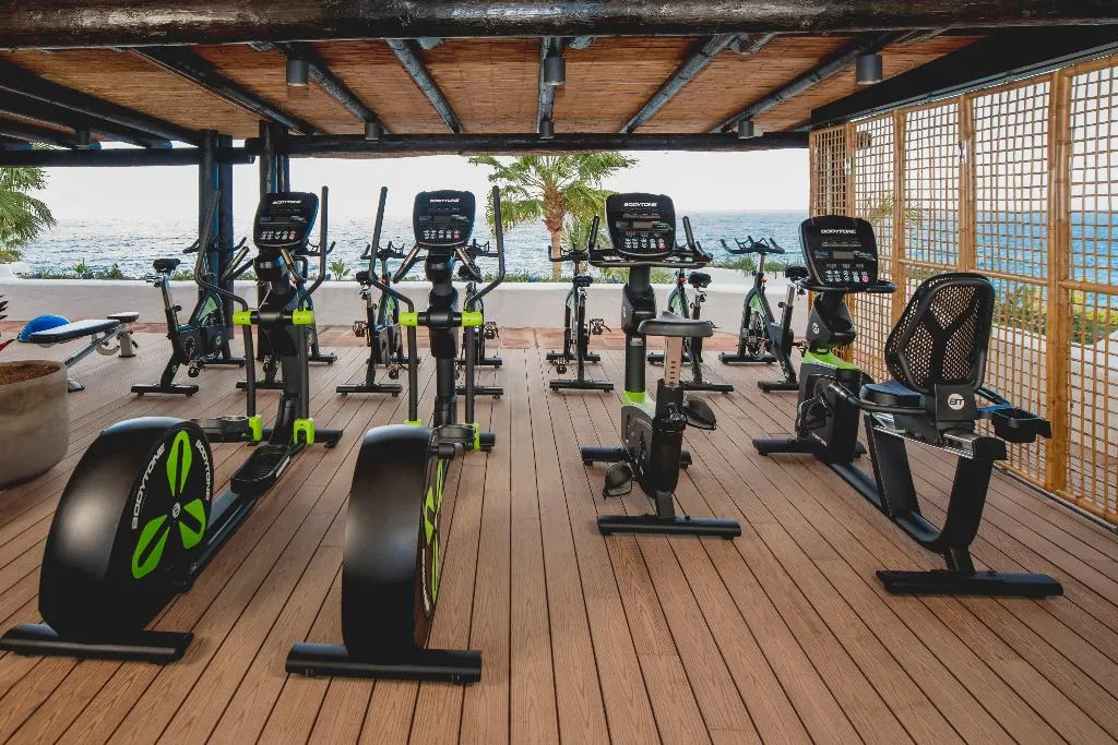 Sports and Entertainment, Hyatt Ziva Jardín Tropical Tenerife, Tenerife