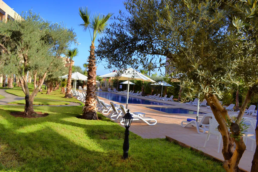 Pool, Wazo Hotel, Marrakech