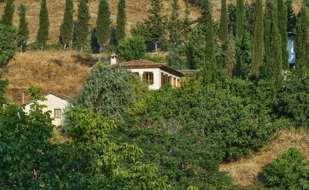 Terrace, Terrace Houses Sirince - Fig, Olive and Grapevine, Izmir