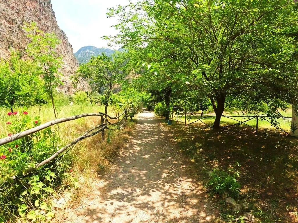 General view, Butterfly Valley Bungalov, Dalaman