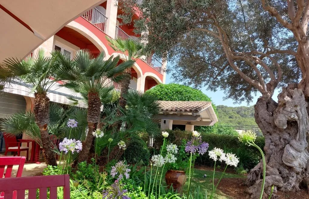 Terrace, Cala Sant Vicenç - ADULTS ONLY, Majorca