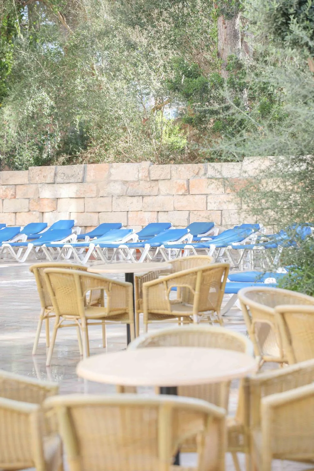 Sports and Entertainment, Elegance Playa Arenal, Majorca