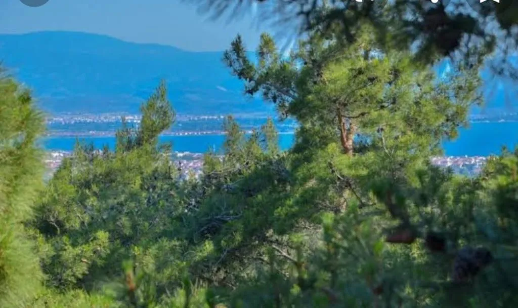 General view, Jippe Ida Dag Evleri, Izmir