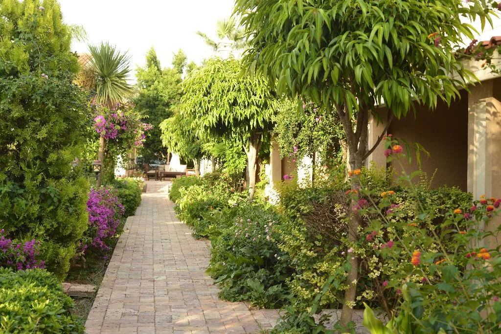 Terrace, Dalyan Resort, Dalaman