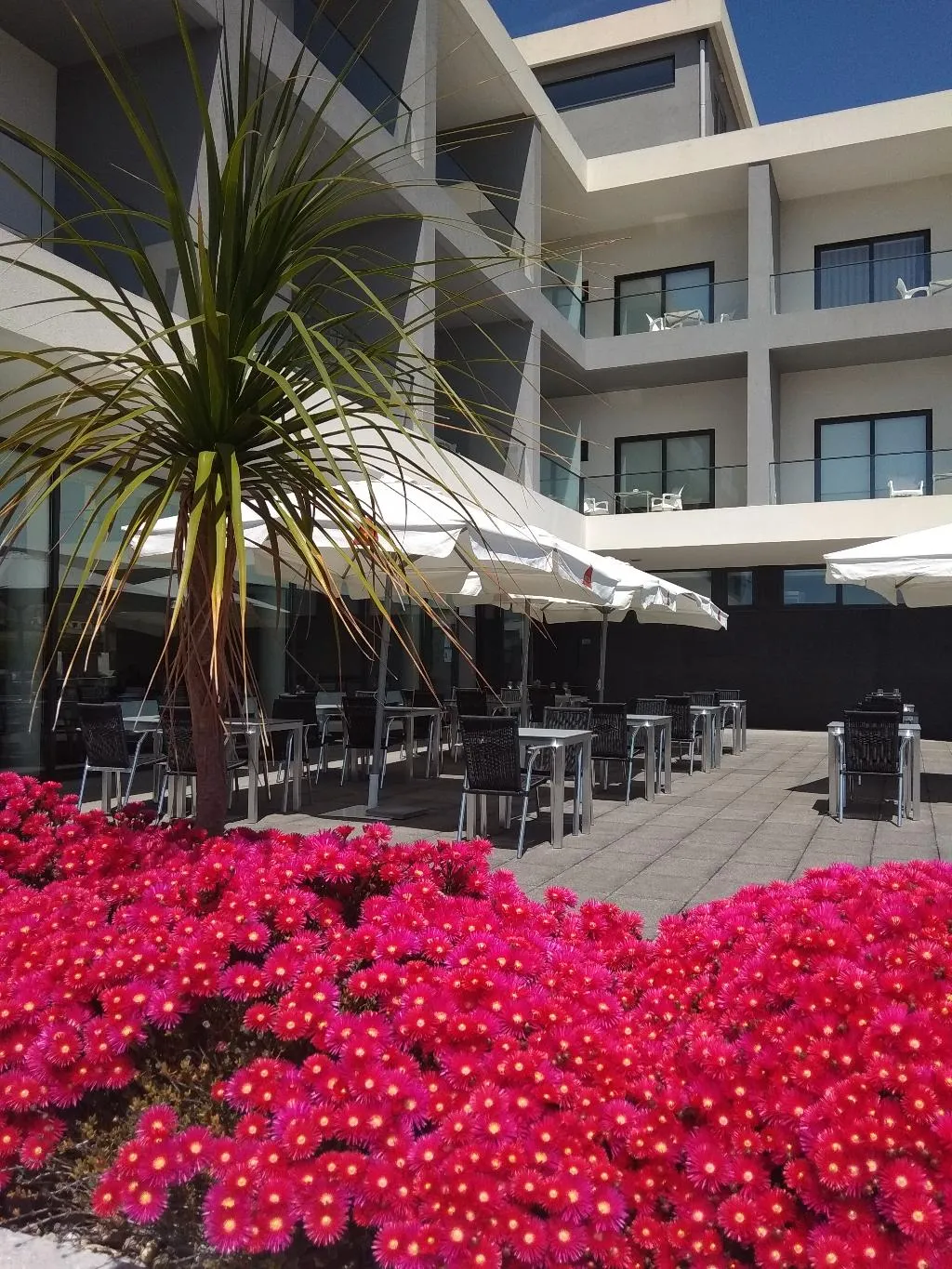Terrace, Hotel Monte Lírio, Porto