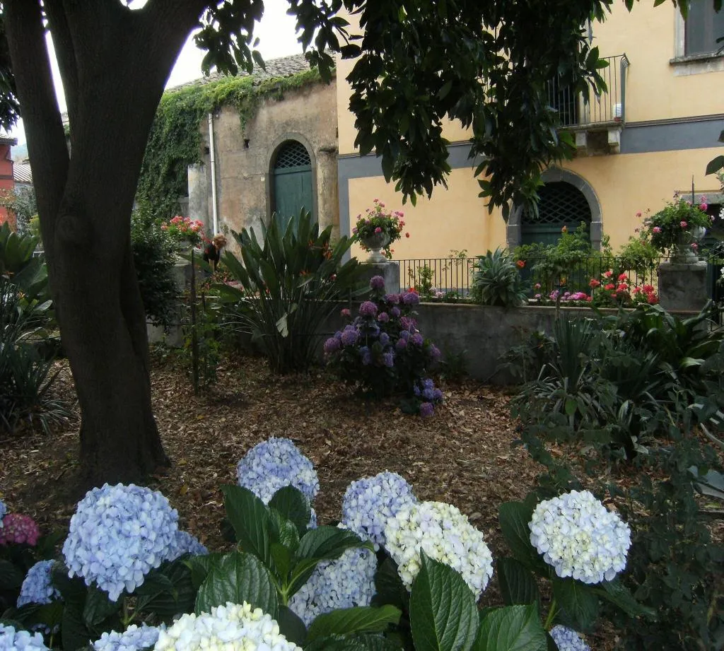 Terrace, Baglio delle Rose, Catania