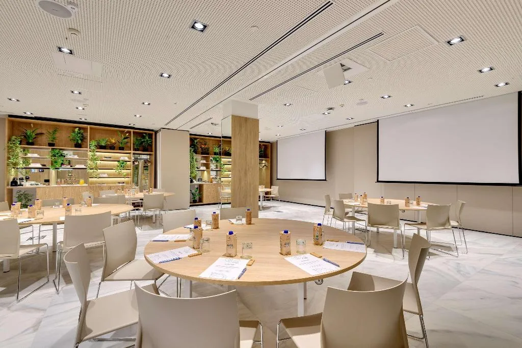 Conferences, Melia Madrid Serrano, Madrid