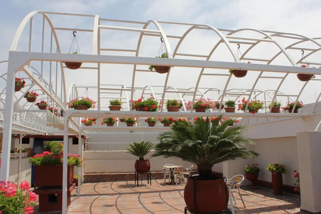 Terrace, Sindibad, Agadir