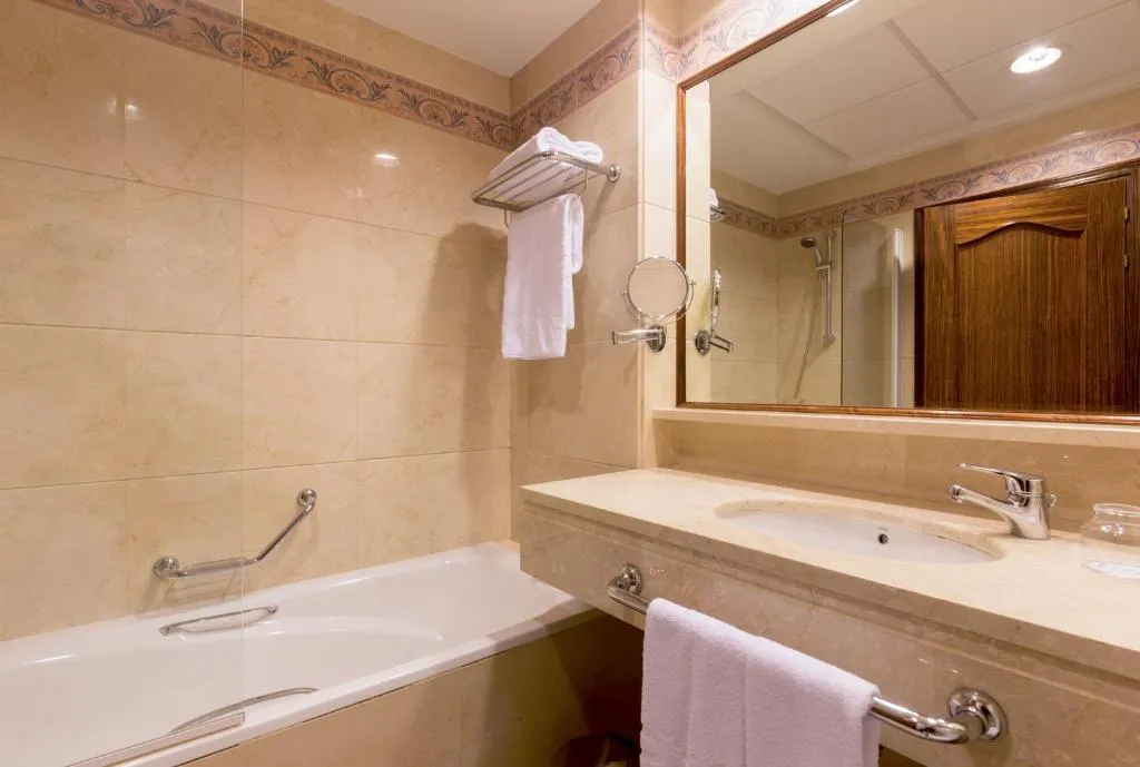 DOUBLE WITH TERRACE Room, Dorma Reina Isabel, Madrid