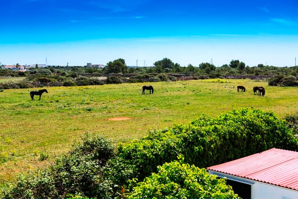 Sports and Entertainment, Casas Menorquinas, Menorca