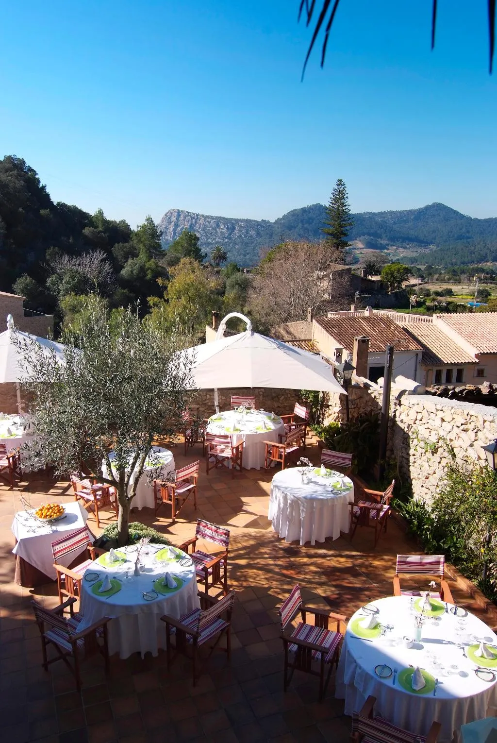 Terrace, reco de Randa, Majorca