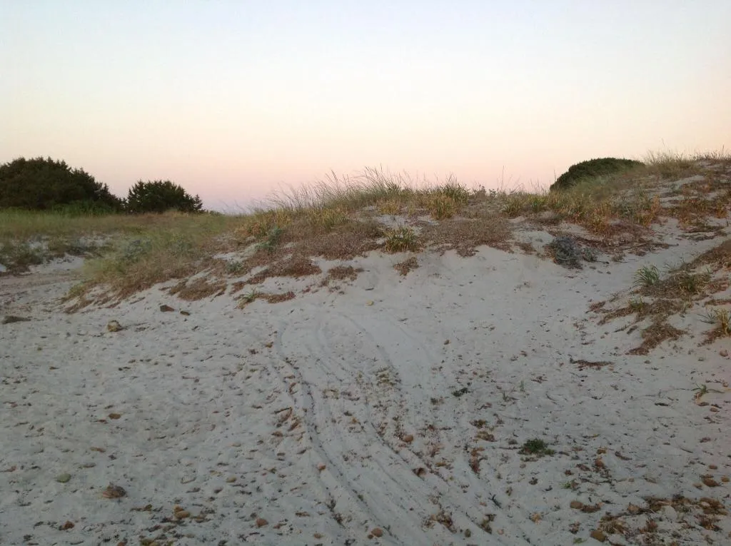 Beach, Budoni Beach Hotel, Olbia