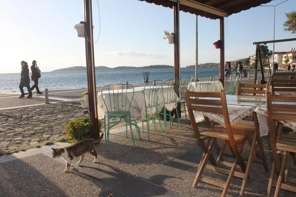 General view, Foca Kumsal Hotel, Izmir