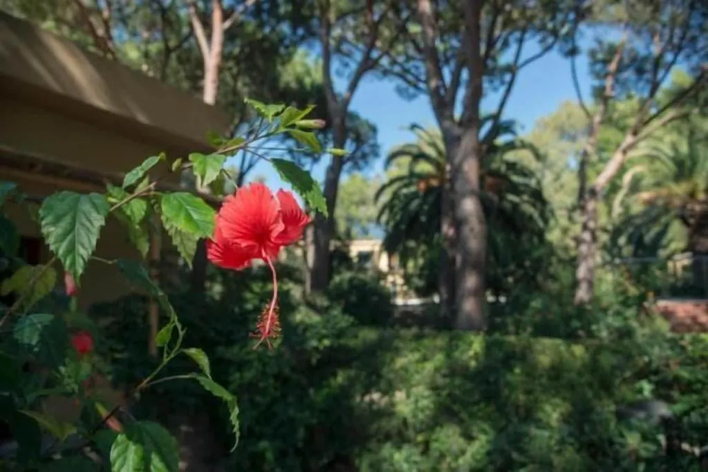 General view, Abbaechelu, Cagliari
