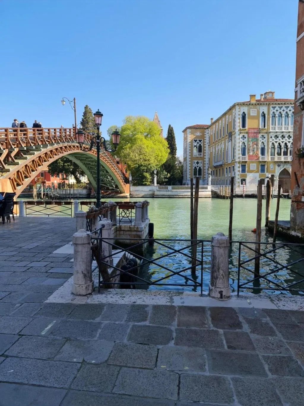 General view, Friendly Venice, Venice