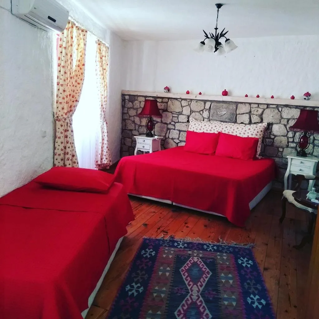 Room, Narcicegi Butik Otel Alacati, Izmir