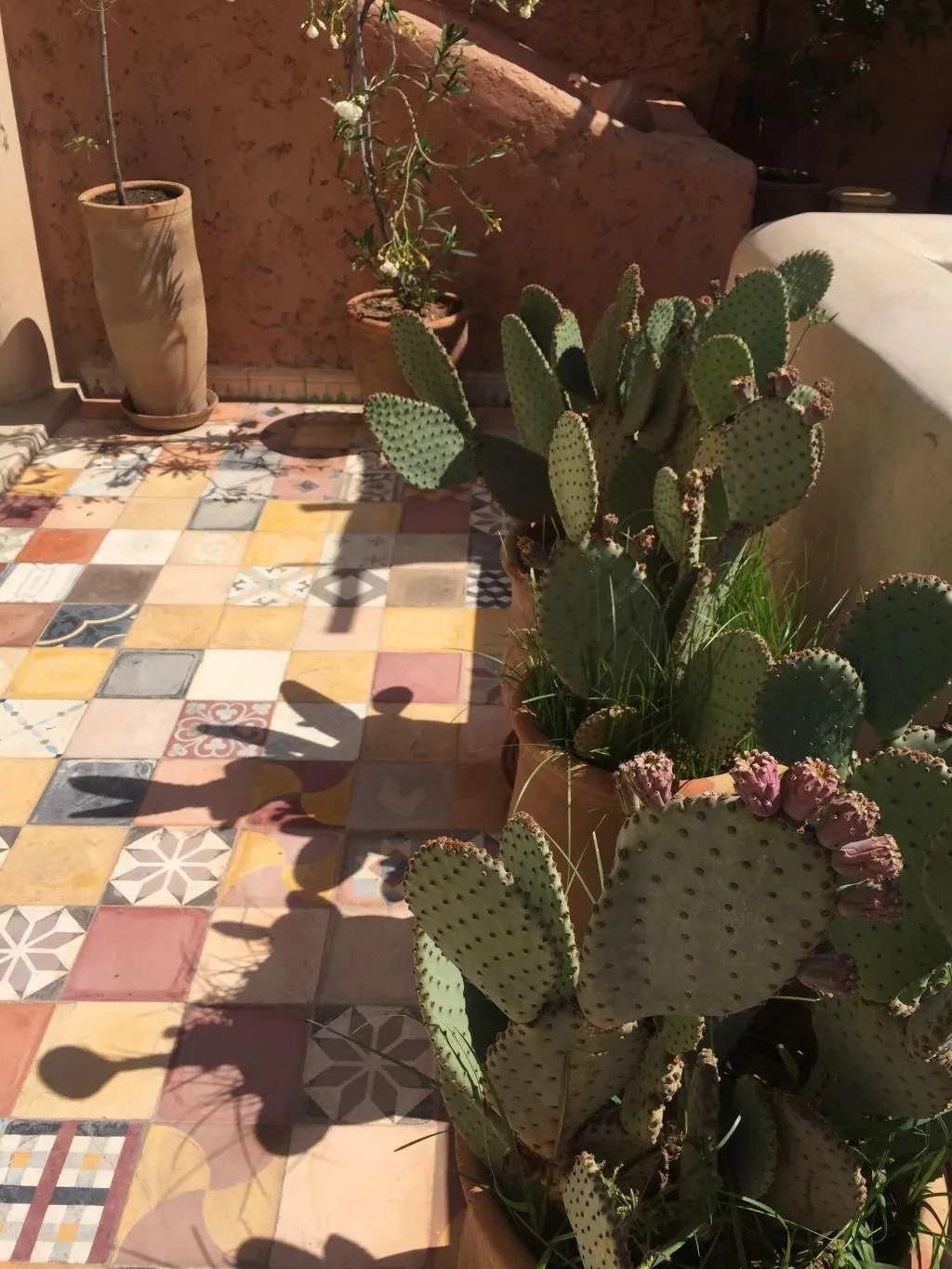 Terrace, Riad Tizwa, Marrakech