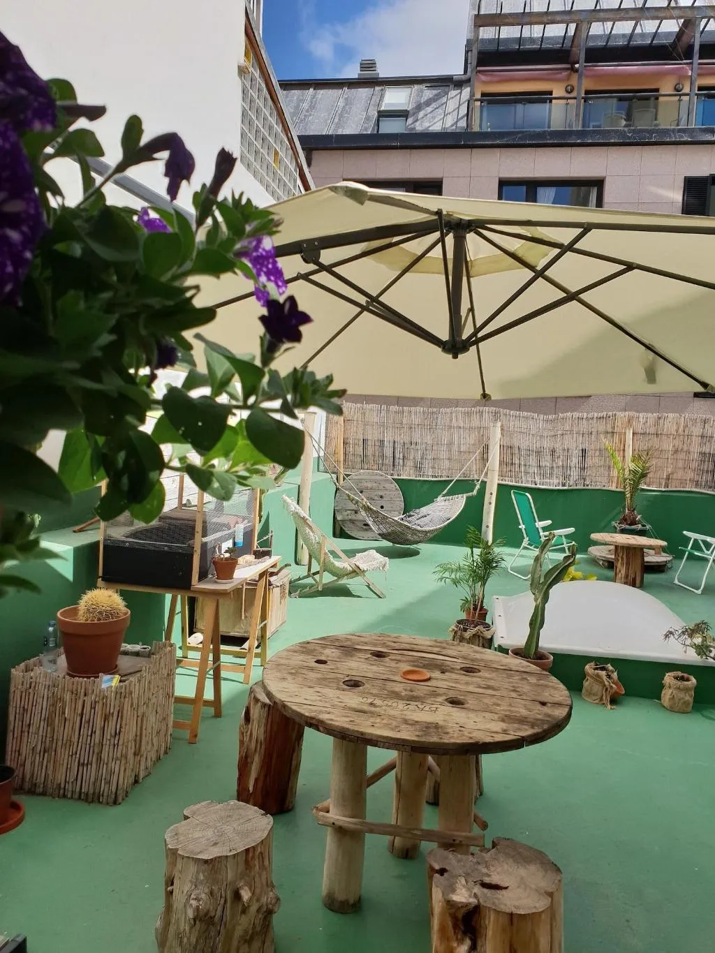 Conferences, Cactus Host, Gran Canaria