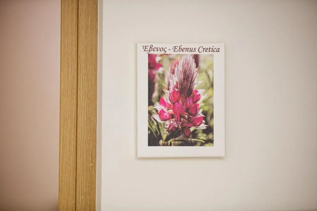 Room, Z Boutique Hotel, Crete
