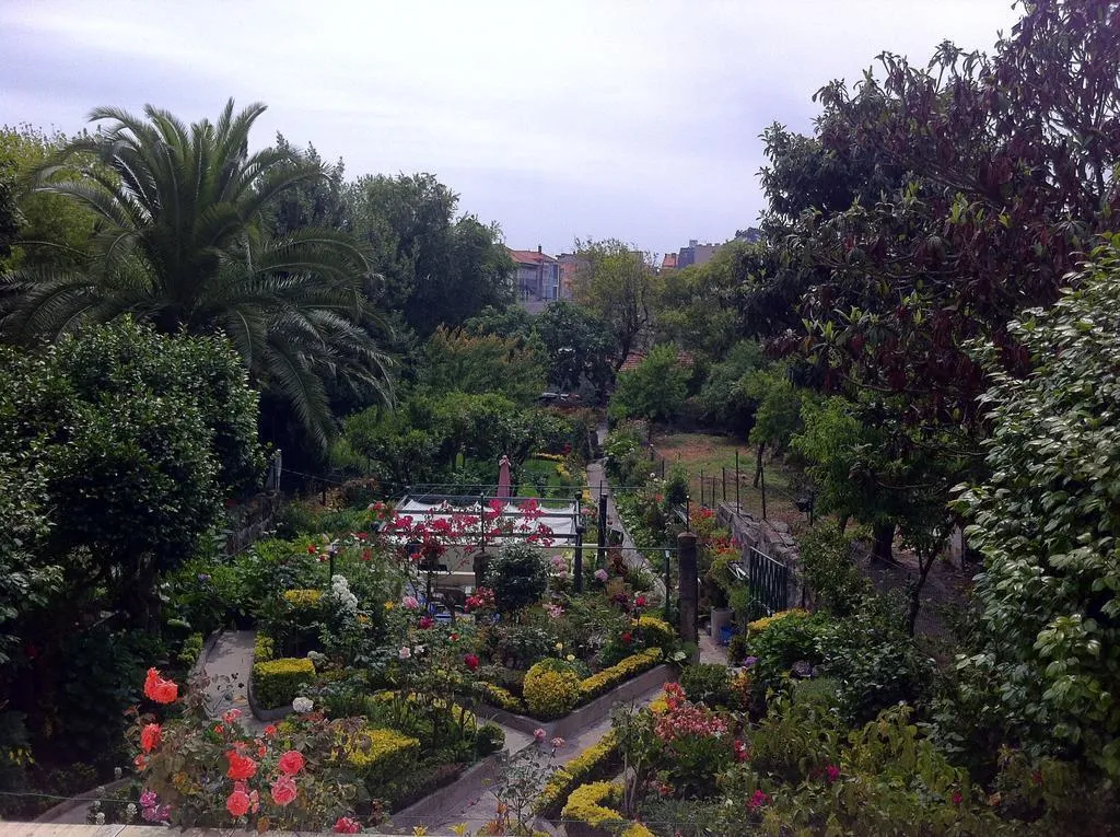 General view, Estoril Porto, Porto