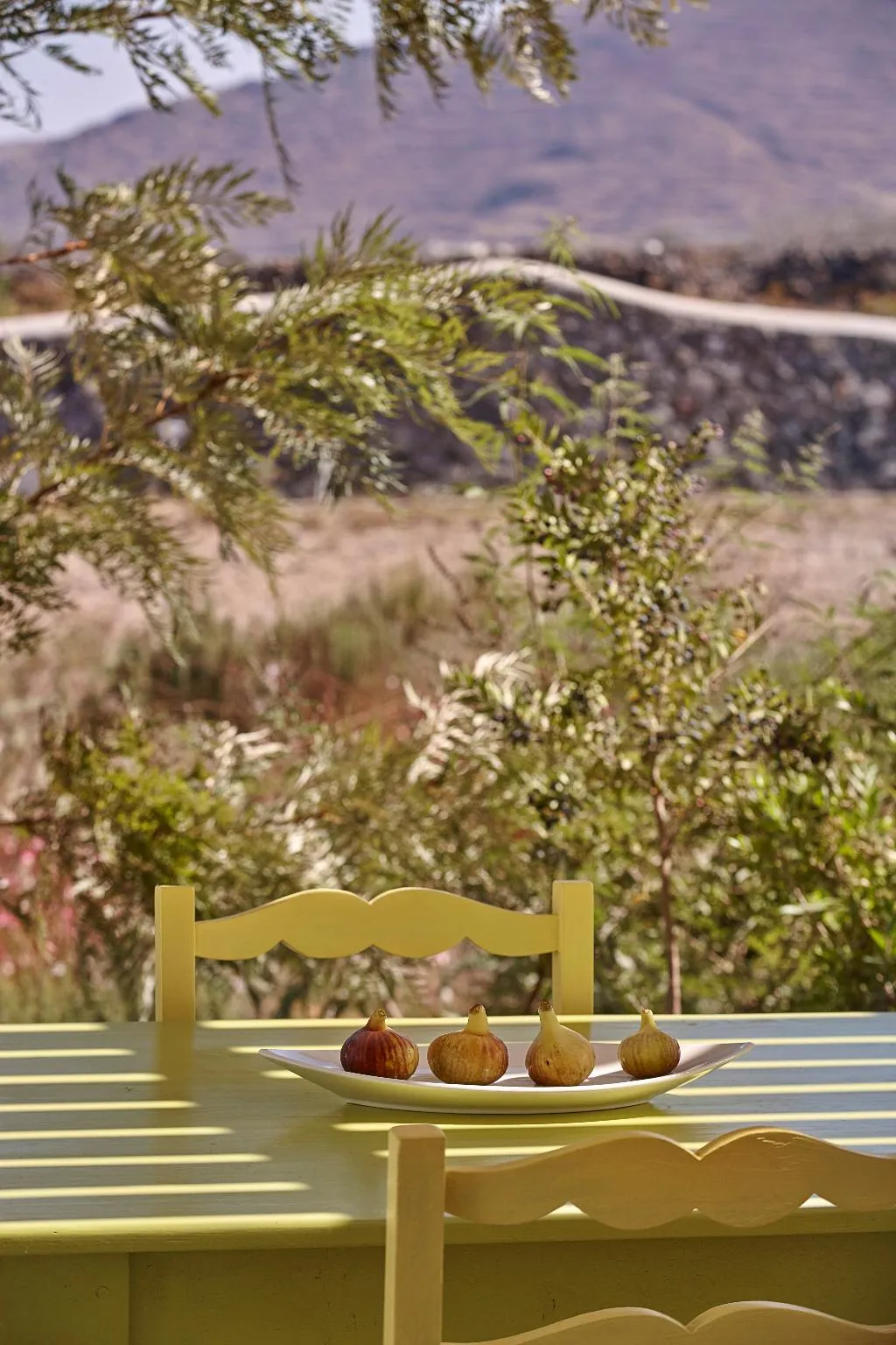 Terrace, Villa Agrikoia, Santorini